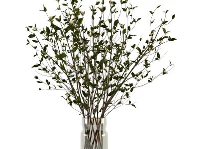 Branches in a vase 009 3D model