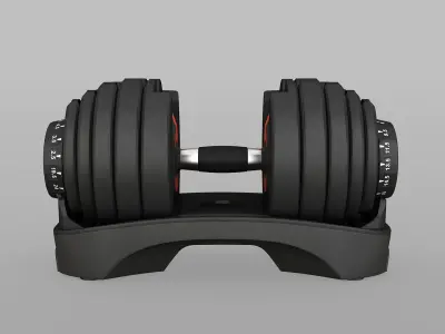 Adjustable Dumbbells Low-poly 3D model
