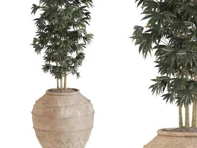 Indoor Plant Set 02 3D model