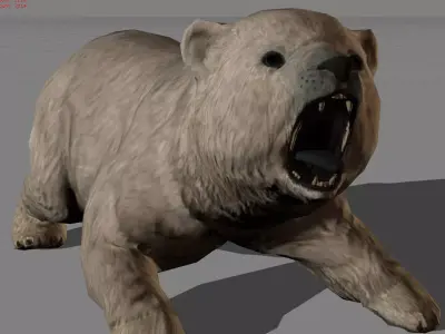 Baby Polar Bear Animal Low-poly 3D model