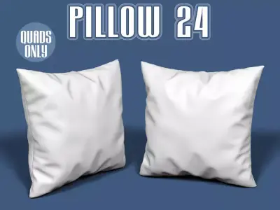 Pillow 24 3D model
