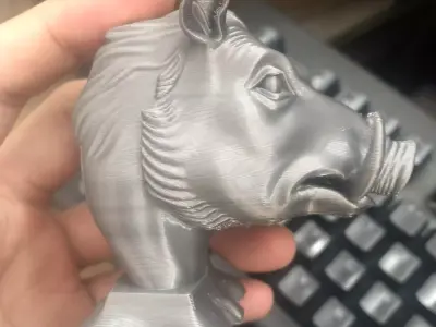 Wild boar 3D print model