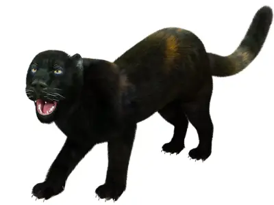 Fur Black Panther Rigged Low-poly 3D model