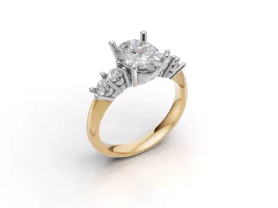 ring woman 3D print model 12