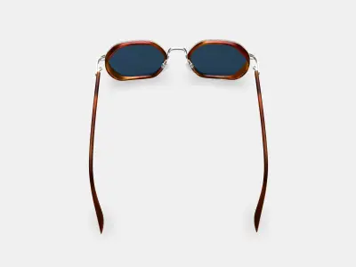 Levins Sunglasses in Rye Tortoise Matte with Antique Silver Low-poly 3D model
