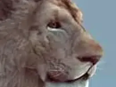 Lion realtime model Low-poly 3D model