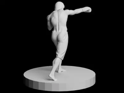 BOXER 3D print model