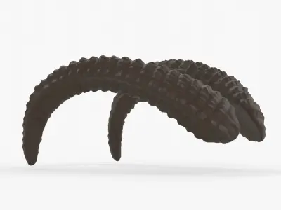 Large Curved Horns - Lauren 3D print model