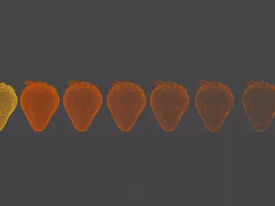 Scanned Strawberry Berry Low-poly 3D model