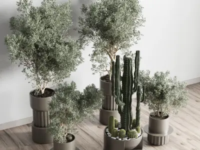 collection indoor plant and cactus 237 concrete dirt vase 3D model