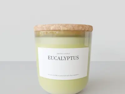 Aroma Candle Eucalyptus 3D model
