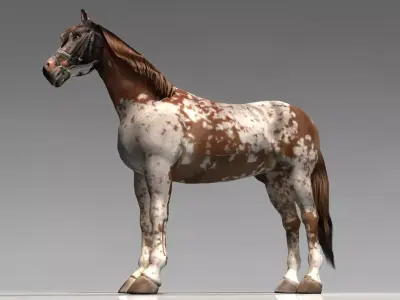 Pinto Horse Low-poly 3D model