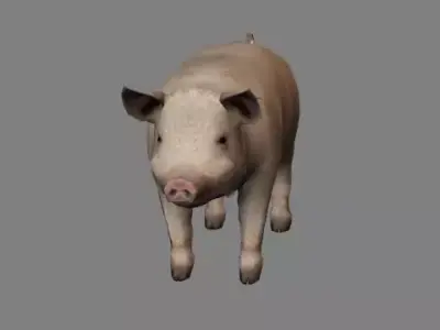 Pig Animations Low Poly- Game Ready Low-poly 3D model