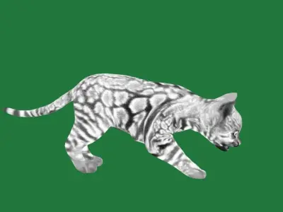 Bengal Kitten Cat Low-poly 3D model