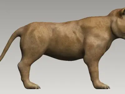 Lion and lioness Low-poly 3D model
