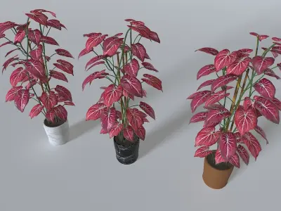 Pot Tropical Plant 2 Low-poly 3D model