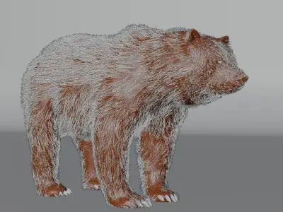 Bear Animal 3D  3D model