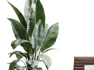 Workplace - Home office set - Office Furniture 50 3D model