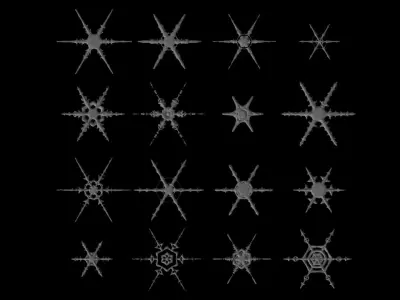 16 Unique Snowflakes Low-poly 3D model