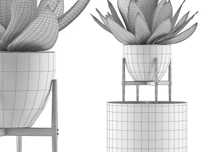 Plants Collection 109 3D model