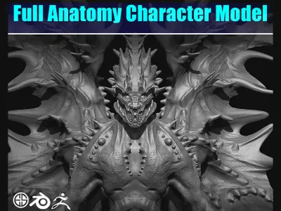 Full anatomy character model Free low-poly 3D model