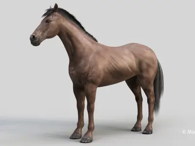 Horse PRO - Dark Brown 3D model