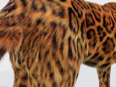 Realistic Fur Leopard 02 3D Model NO RIG Low-poly 3D model
