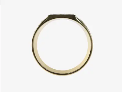 Ring Falcon 3D print model