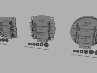 Gym Weights Personal Record 3D print model