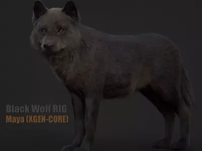 Black Wolf XGEN CORE RIG 3D model