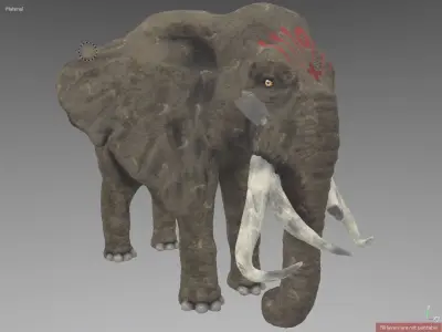 elephant high resolution 3D model