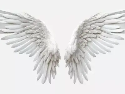 White Angel Wings Realistic Feathers with Ethereal Design Low-poly 3D model