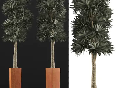 Plants Collection 102 3D model