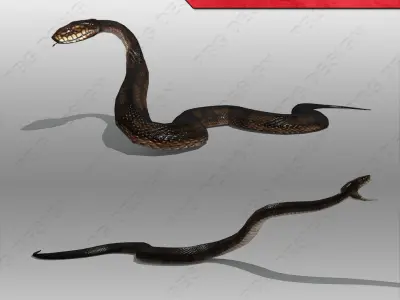 Snake Animated Low-poly 3D model