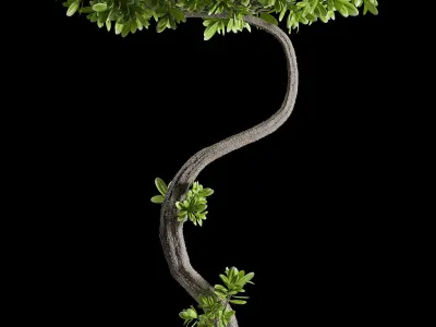 miniature plant 146 3D model