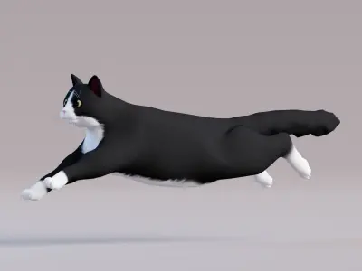 Low Poly - Stylized cats - Bicolor Cat Low-poly 3D model