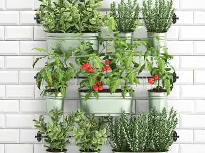 decorative plants for the kitchen on railing 380 3D model