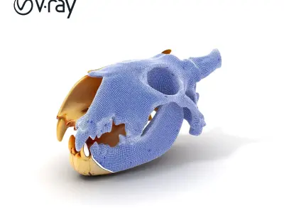 Realistic Animal Skull Model Pack for Animation Low-poly 3D model