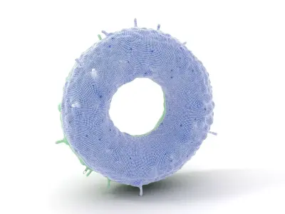 Mint Textured Torus model pack Texture