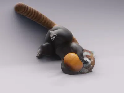 RedPanda animated 3D 3D model