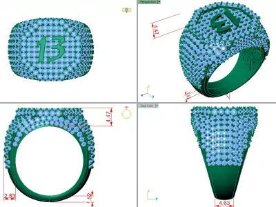 full pave some ring with number 13 with assure inside  3D print model