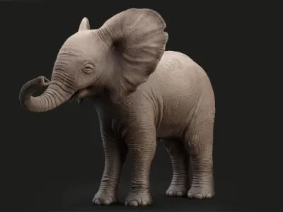 Animated Elephant  baby 8K Low-poly 3D model