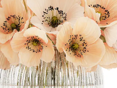 Beautiful Bouquet White Beige Wild Flowers Poppy 570 3D model