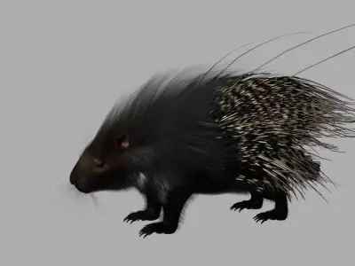 porcupine 3d model fur 3D model