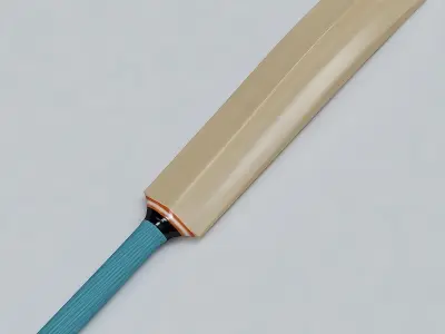 Cricket Bat and Ball 3D model