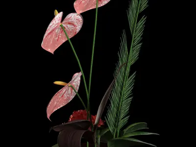 Anthurium bouqet 3D model