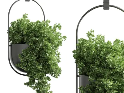 pot plant and hanging pot and wall plant collection 213 3D model