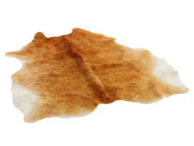 Cowhide light brown area rug 3D model