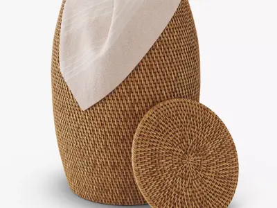 Artifacts Rattan End Table With Lid 3D model