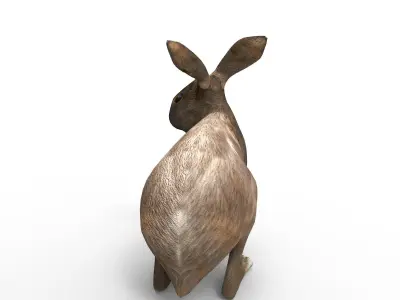 Red rabbit Rigged Low poly model Low-poly 3D model